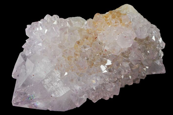 Cactus Quartz (Amethyst) Crystal - South Africa #132455